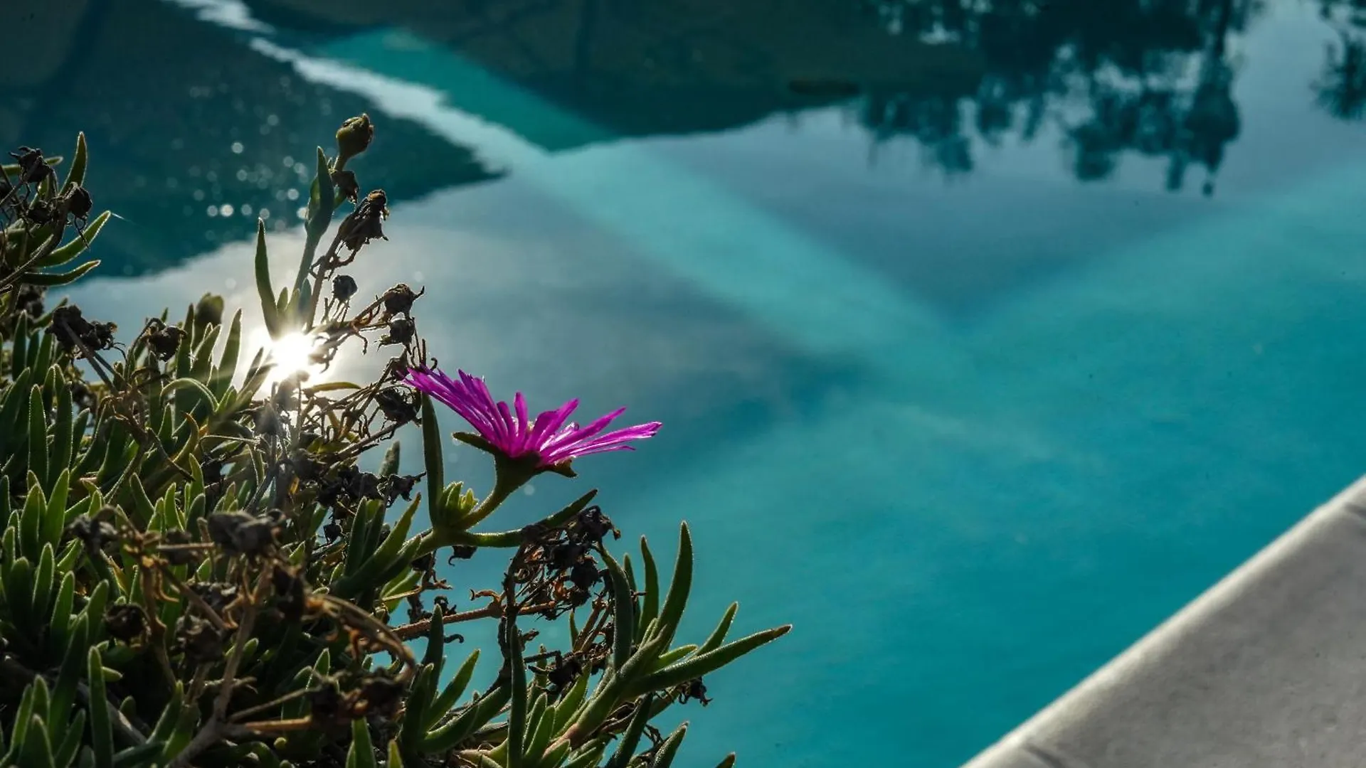 Hotel Bellavista San Bartolomeo Al Mare